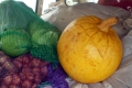 DSCF6620