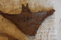 DSCF0508