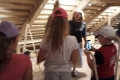 2019-07-24-3-1