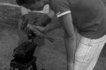 2013-07-30-c